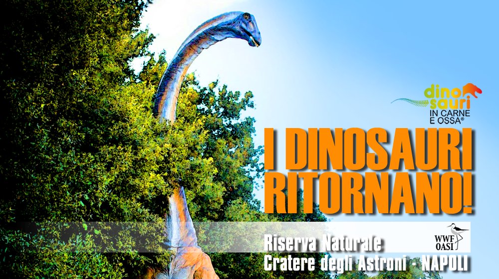 I DINOSAURI RITORNANO‼ 😱 🦖🦕 

Spettacolari #dinosauri ti aspettano, dal 16 aprile al 13 novembre, all'<a href="/OasiAstroni/">CrateredegliAstroni</a> di #Napoli! Aperti sabato, domenica e festivi ore 10-18 (chiusura biglietteria ore 15:40). Solo su prenotazione compilando il form 👉 crateredegliastroni.org/prenotazioni
