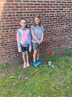 Checking out our tulips. The red reminding us to always make healthy choices! #RedRibbonWeek what a great way to celebrate Earth day then spending time in our school's garden! #EarthDay <a href="/MASSPARTA/">Mohawk Avenue School</a> <a href="/Sparta_Schools/">Sparta Twp. Schools</a>