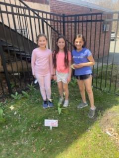 MASGuidance's tweet photo. Checking out our tulips. The red reminding us to always make healthy choices! #RedRibbonWeek what a great way to celebrate Earth day then spending time in our school's garden! #EarthDay @MASSPARTA @Sparta_Schools https://t.co/Q2okAOjzTf