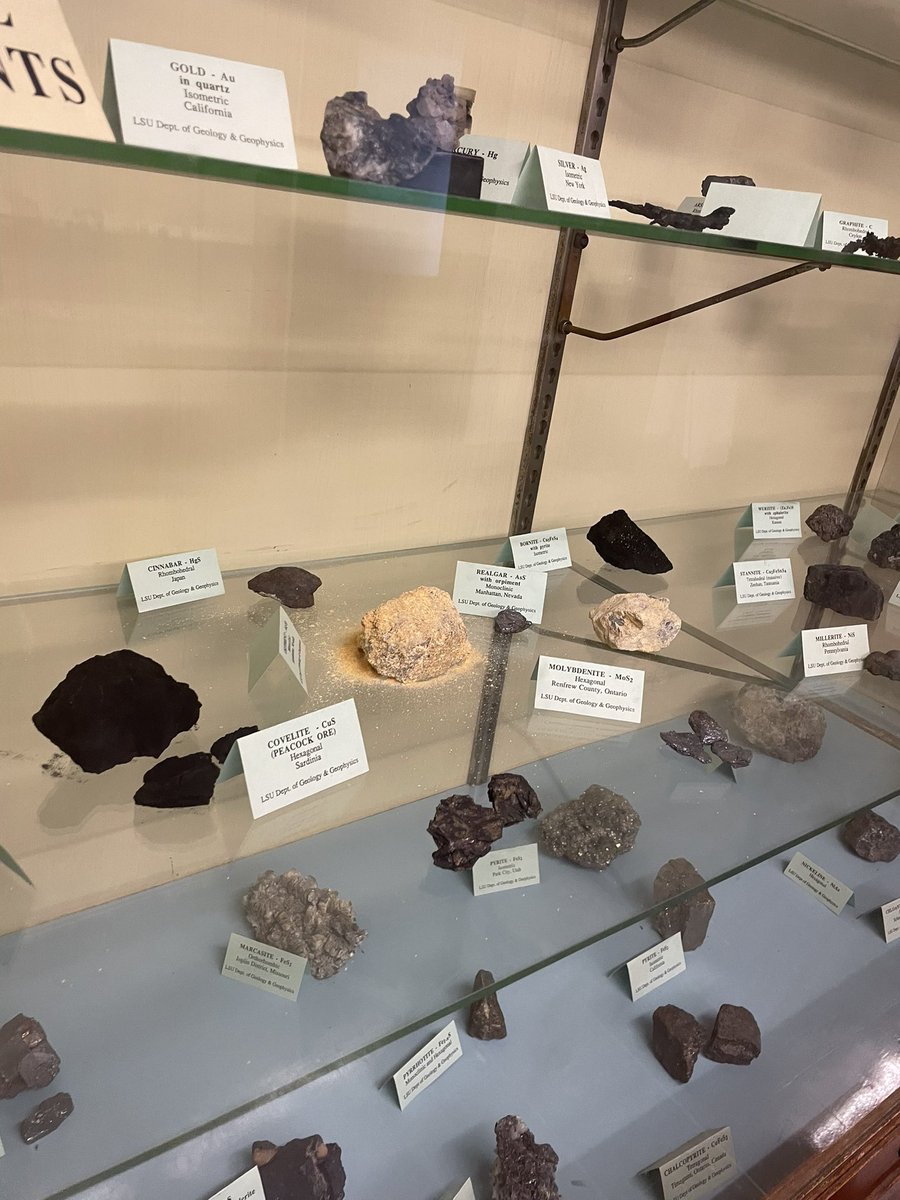 madscottyy's tweet photo. Environmental management freshman Sawyer Pendry admires the cases of rocks in the Howe Russell building on LSU campus.
“Rocks are so cool, and I enjoy looking at them on my way to class,” Pendry said.
#manship2010 https://t.co/aGMvSx97CI