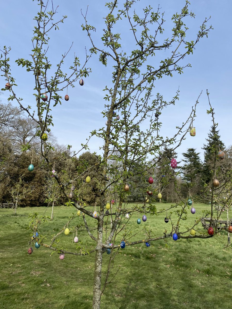 Bernard Donoghue tweet media