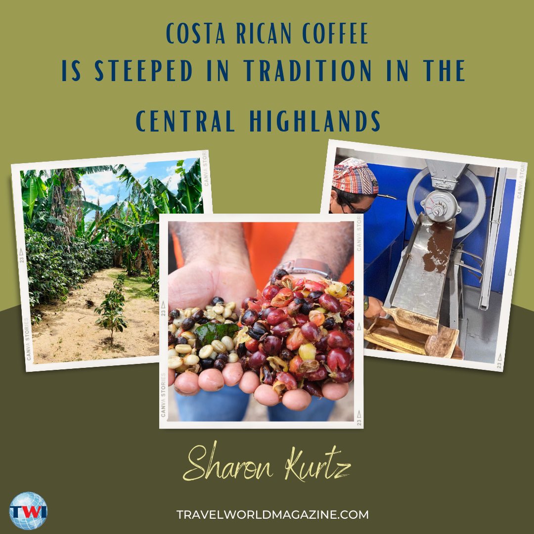 Check out Sharon’s piece on Costa Rican Coffee! Her story delves into its history & nine month growth process. Read all about her experience visiting ‘Los Volcanes’ Plantation Coffee Tour & spending time with some of Costa Rica’s most dedicated coffee growers at the link in bio!