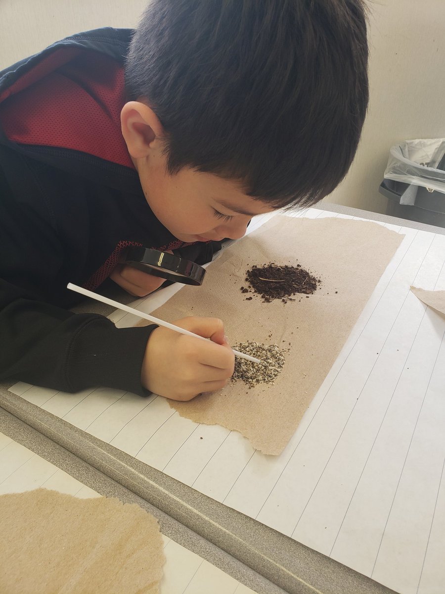 MrsLHill2's tweet photo. Exploring soil samples from different places in our community as we begin our next science unit learning about soils in the environment 🔍
@JohnTTuckPS @HaltonDSB @HDSBScienceTech #gradethreeJTT #scienceisfun https://t.co/tYgNhkTgDX