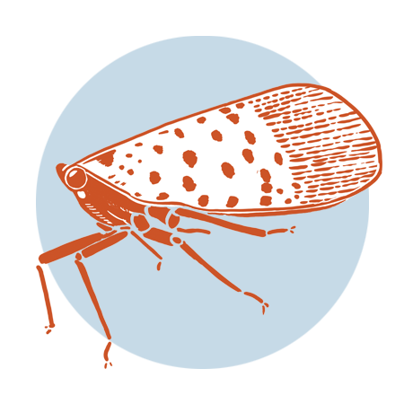 Oregon IPM Center tweet media