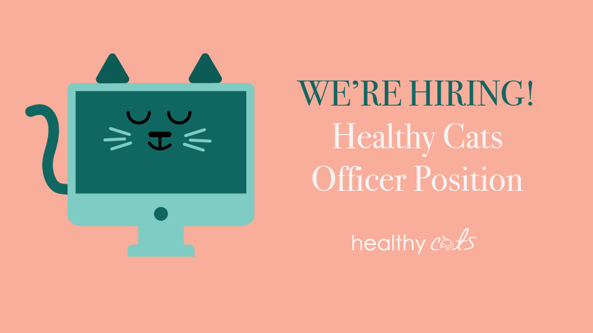 HealthyCatsTXST's tweet photo. We're hiring! If you would like to lead health-promoting meetings, events, and presentations for the TXST Student Health Center, this student employee position is for you! No prior experience with Healthy Cats required. Search "Healthy Cats Officer" on Jobs4Cats! https://t.co/4MPYOjI5jv