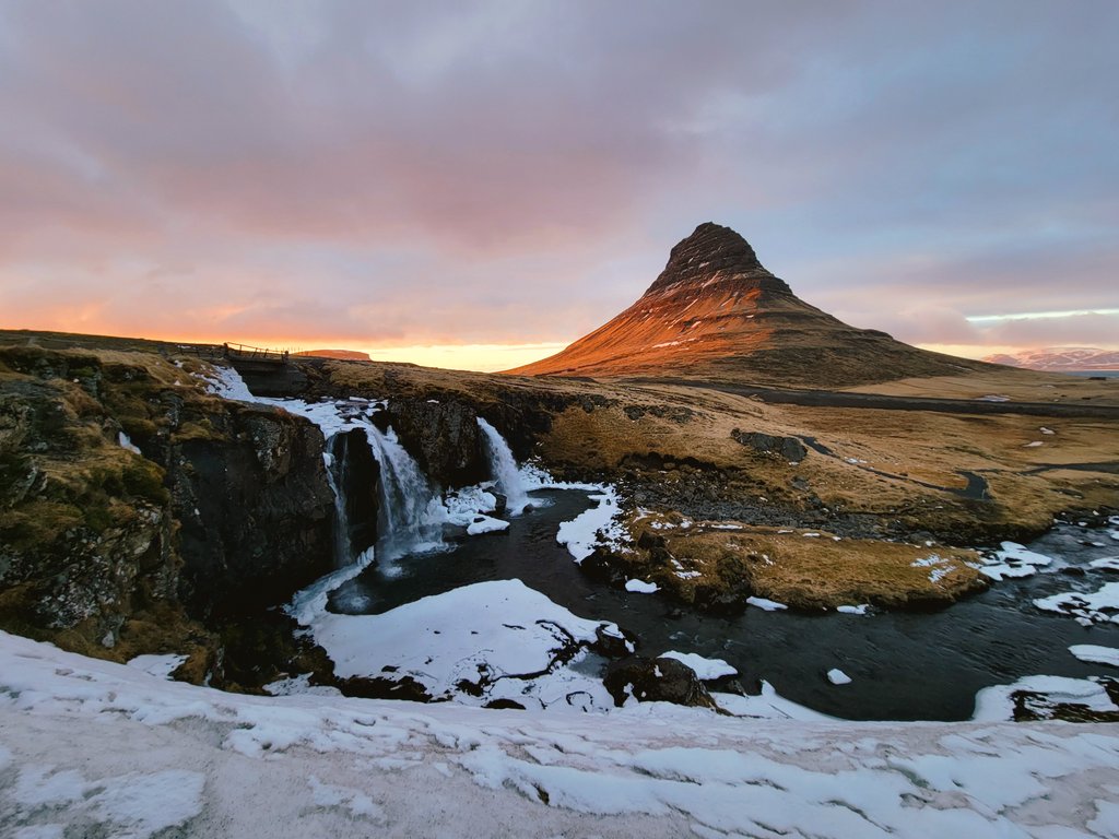 Austin ⚜ tweet media