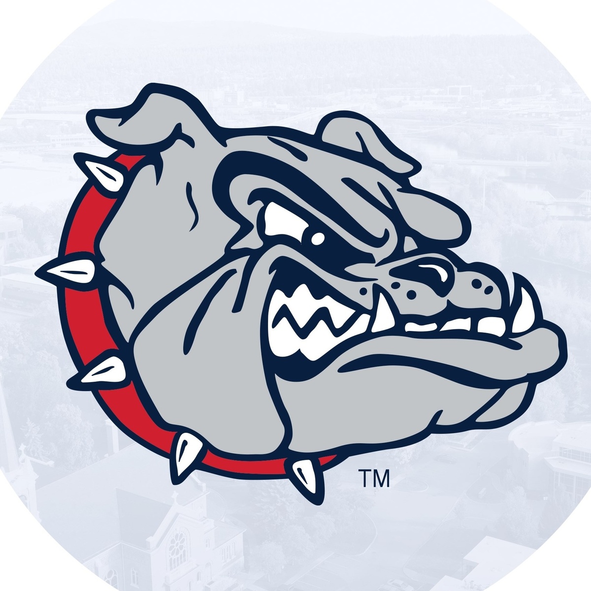 FailSafe for Life tweet media