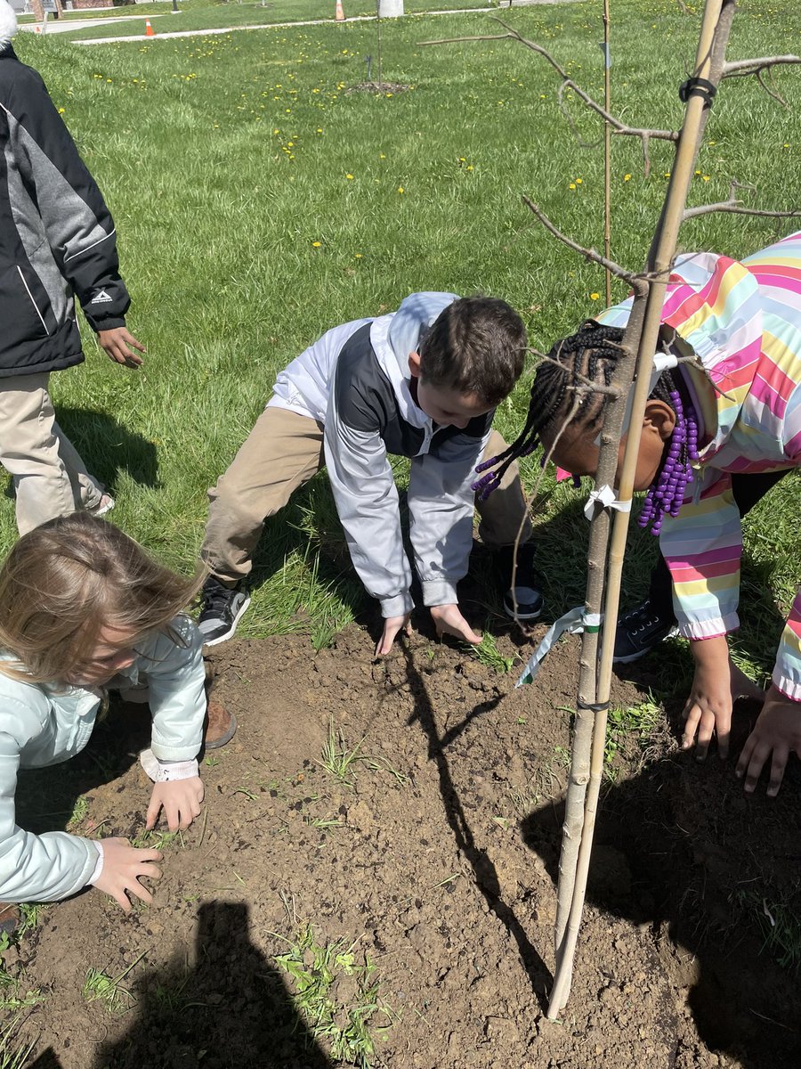 Erin Naylor tweet media