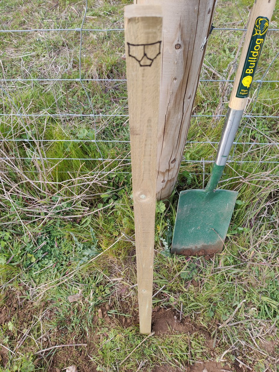 DeepdaleFarm's tweet photo. We're just in time to sow our pants crop. We're joining @OpenFarmSunday again this year, and we've buried these cotton undies so we can dig them up this 12 June to see what the soil biology has done to them over the next couple of months... #PlantYourPants #LOFS2022 https://t.co/L02rN6B1RE