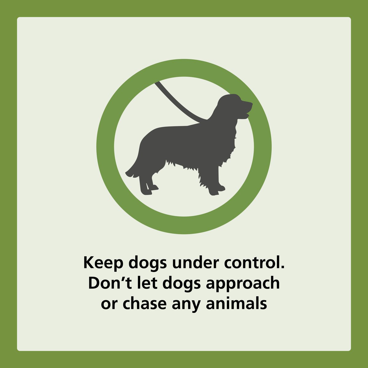 Please remember if you're out walking this easter to keep your dogs under close control and #keeptothetracks! 🙏 
Your dogs may be friendly but the animals 🐎 🐄  grazing in the forest don't know this and can become frightened!
#realnewforest
#newforestcommoners
#newforestcode