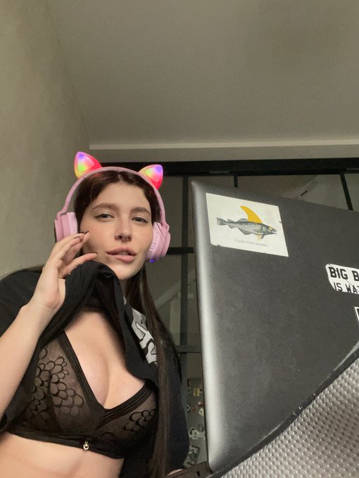 Come to see what happens next 😻  💟https://t.co/VNogspA6Qy https://t.co/1xJRtL76rX