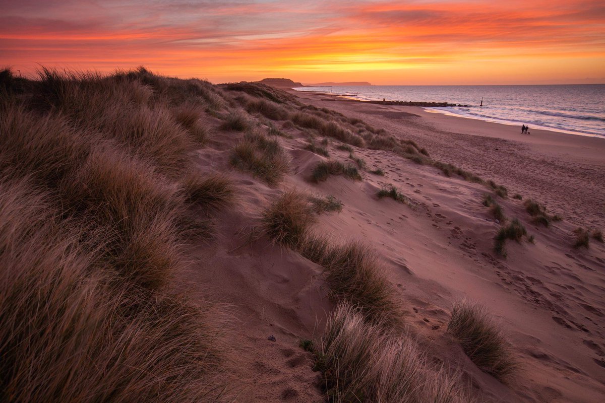 Matt_Pinner's tweet photo. Out of these four photos,which one would you choose to be in my Dorset 2023 calendar?? 

Pre order here just (£5) Free UK P&amp;P 
https://t.co/gTO9HnLPjF  📅

#Dorset #DorsetCalendar https://t.co/M9f9Kritfy