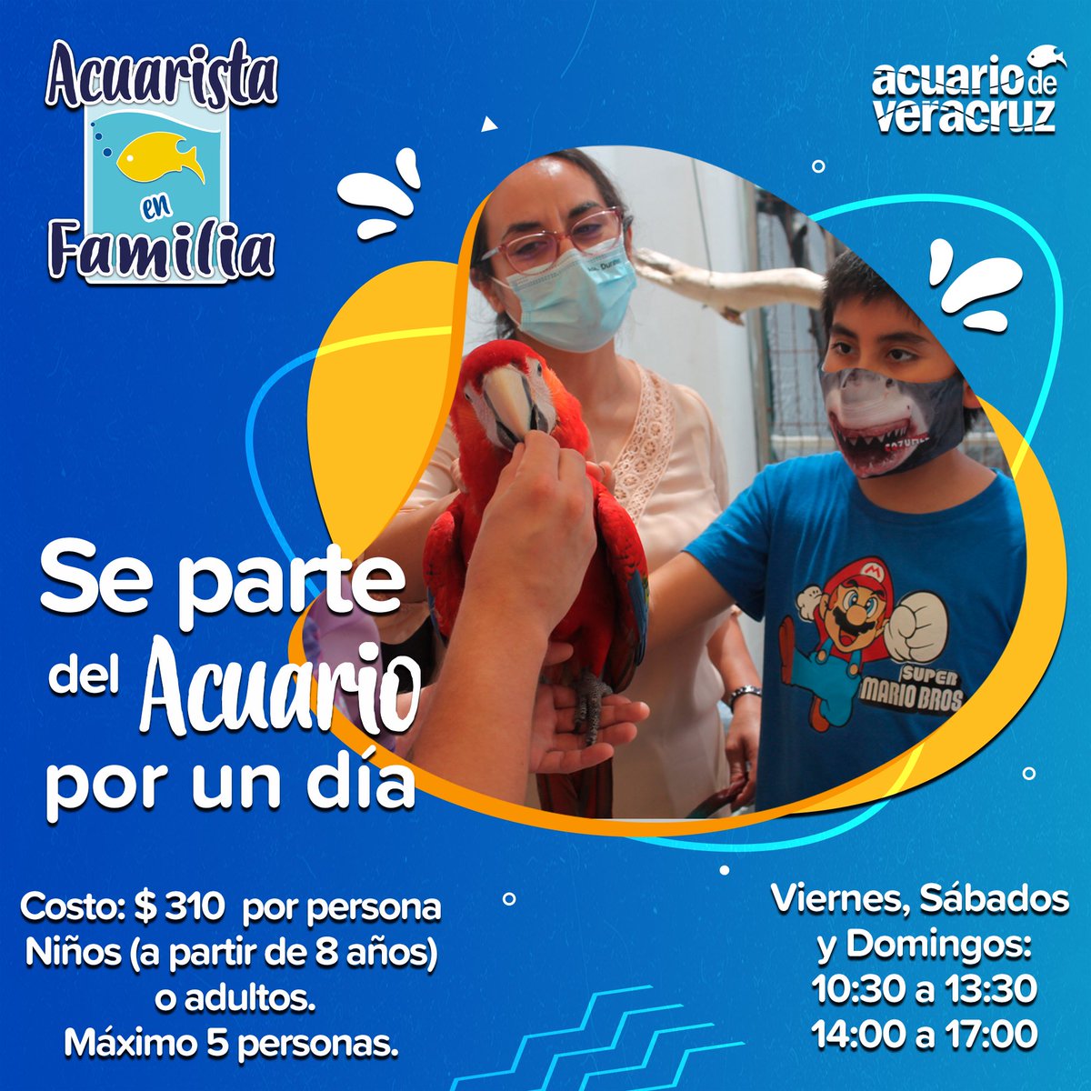 ¡Disfruta en familia de ser parte del
equipo del Acuario por un día!

Conoce más acerca del cuidado que le brindamos a
nuestras especies.

Aprende con los expertos del Acuario de Veracruz y
observa sesiones de condicionamiento operante,
alimentación y mucho más.
