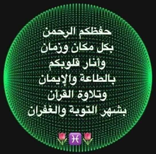 Abo Farha tweet media