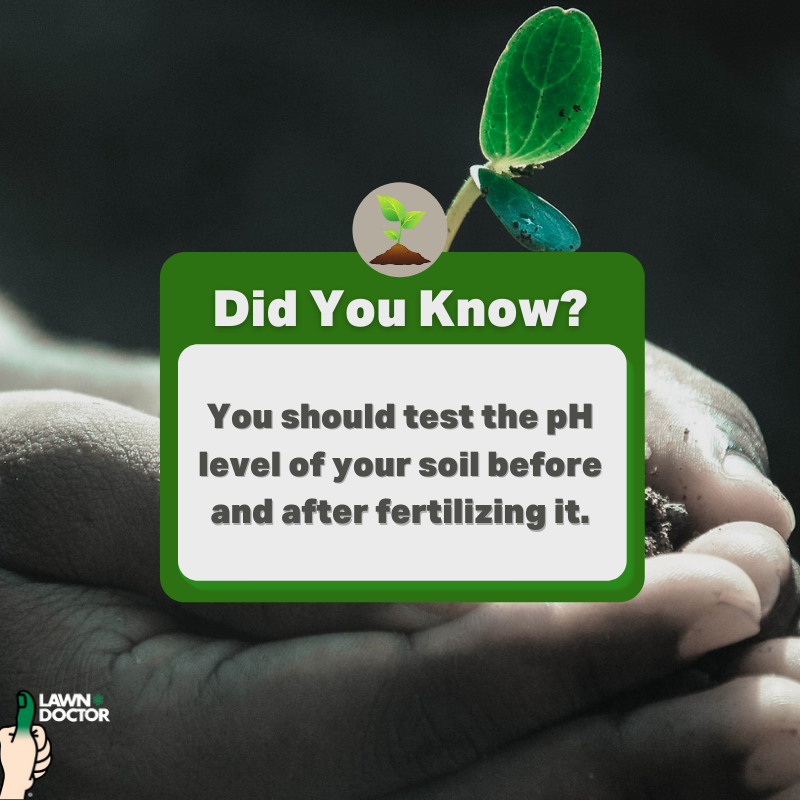 omaha_lawn's tweet image. We're happy to help! Call us to learn more. bit.ly/3MR002b #soilpH #pHtesting #lawncare #lawndoctor #lawn