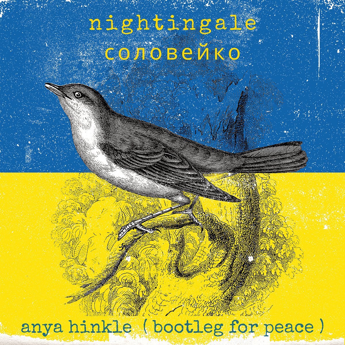 NWMJournal's tweet image. noteworthymusic.org/new-music/
#NewMusicFriday New Single Benefiting Ukraine
“Nightingale (соловейко) - Bootleg for Peace” by Anya Hinkle
All Proceeds go to Benefit The Ukrainian Relief Project - Guardians of Hope
#PeaceInUkraine #indiemusic #UkraineRescue