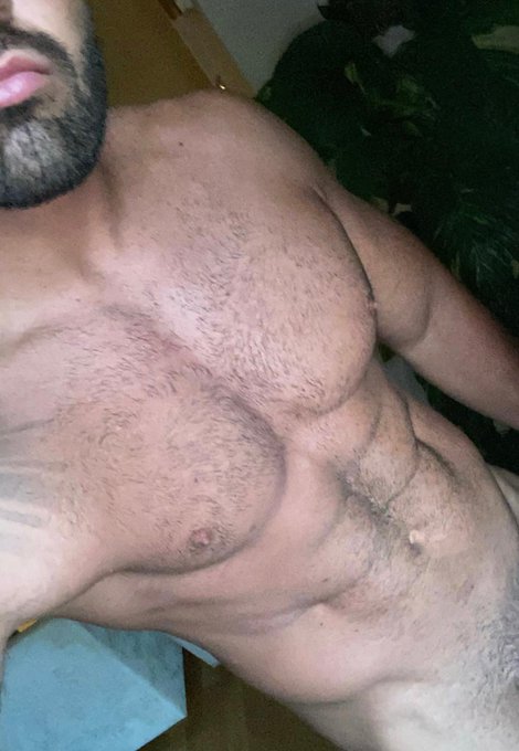 Hairy or Smooth? 👀   https://t.co/G7l17SxER2 https://t.co/YCBmFIiUsY