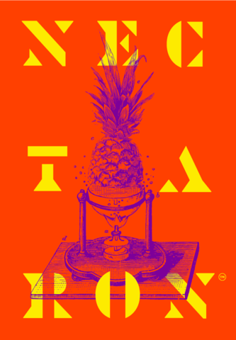 NewSchoolBeer's tweet image. Nectaron® hops out of New Zealand are known for their signature pineappl and pine resinous flavors. They are quickly becoming the next in vogue name brand hop. newschoolbeer.com/home/2022/4/ne…

#nectaron #nectaronhops #nzhops #newzealandhops #hopvariety #hopflavor #hoppedup #craftbeer