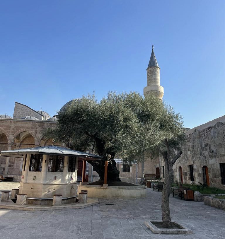 Susmak cümlenin istirahat halidir. İstirahat bitince çıkan cümle,dinç olur.!

Hz.Mevlana 
#HayırlıCumalar