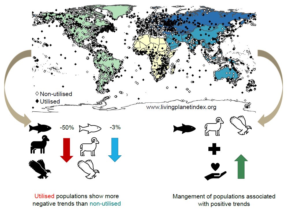 Want to have a global picture of how the use of #wildlife affects abundance trends of #species populations? Check this article cell.com/one-earth/full… by <a href="/LouiseMcRae/">Louise McRae</a> <a href="/jgeldmann/">Jonas Geldmann</a> &amp; colleagues <a href="/OfficialZSL/">ZSL</a> <a href="/Macroecology/">CMEC</a> <a href="/Cambridge_Uni/">Cambridge University</a> <a href="/unepwcmc/">UNEP-WCMC</a>