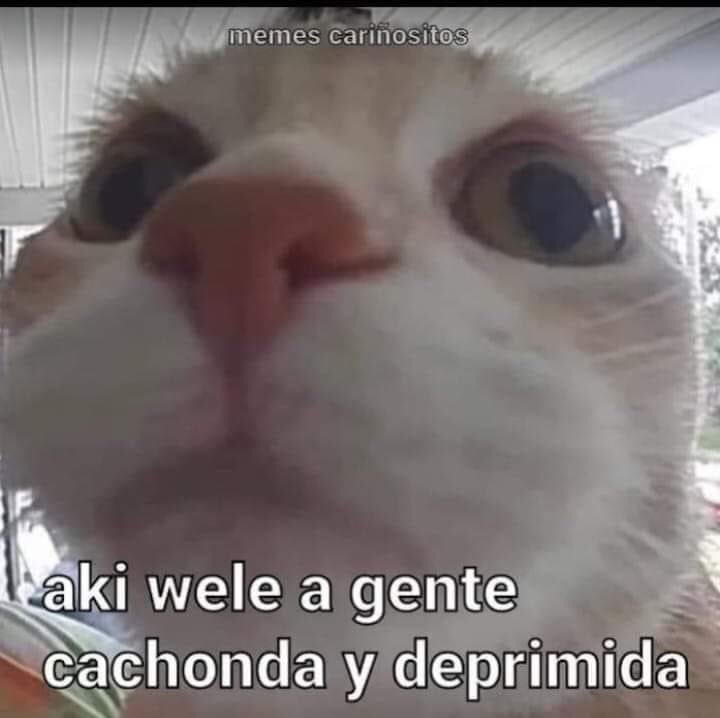 lalo_lima's tweet photo. El Elon Musk entrando a twitter luego de comprarlo https://t.co/Z5xFOhJNuV