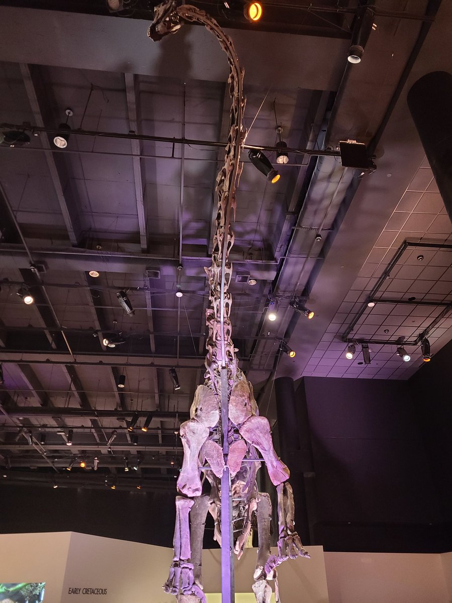 Lauren Howard tweet media