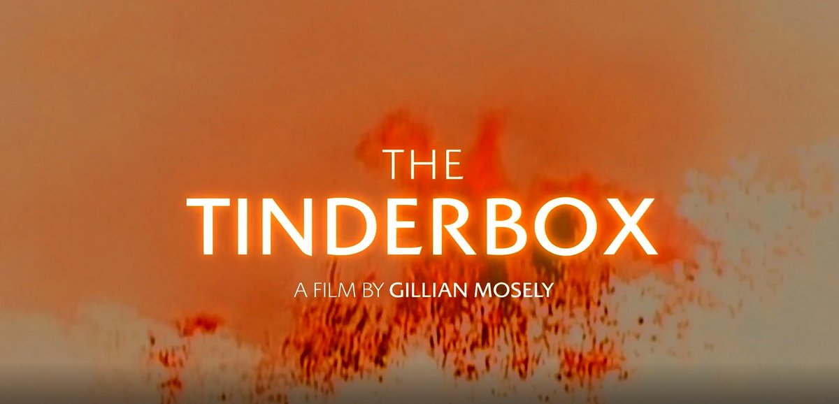 GHFilm's tweet image. It is finally time for the screening of The Tinderbox by Gillian Moseley! This amazing film covers the different voices of the people involved in the Israel-Palestine conflict with historical references!
@tinderboxfilm1

#thetinderboxfilm #prohumanity