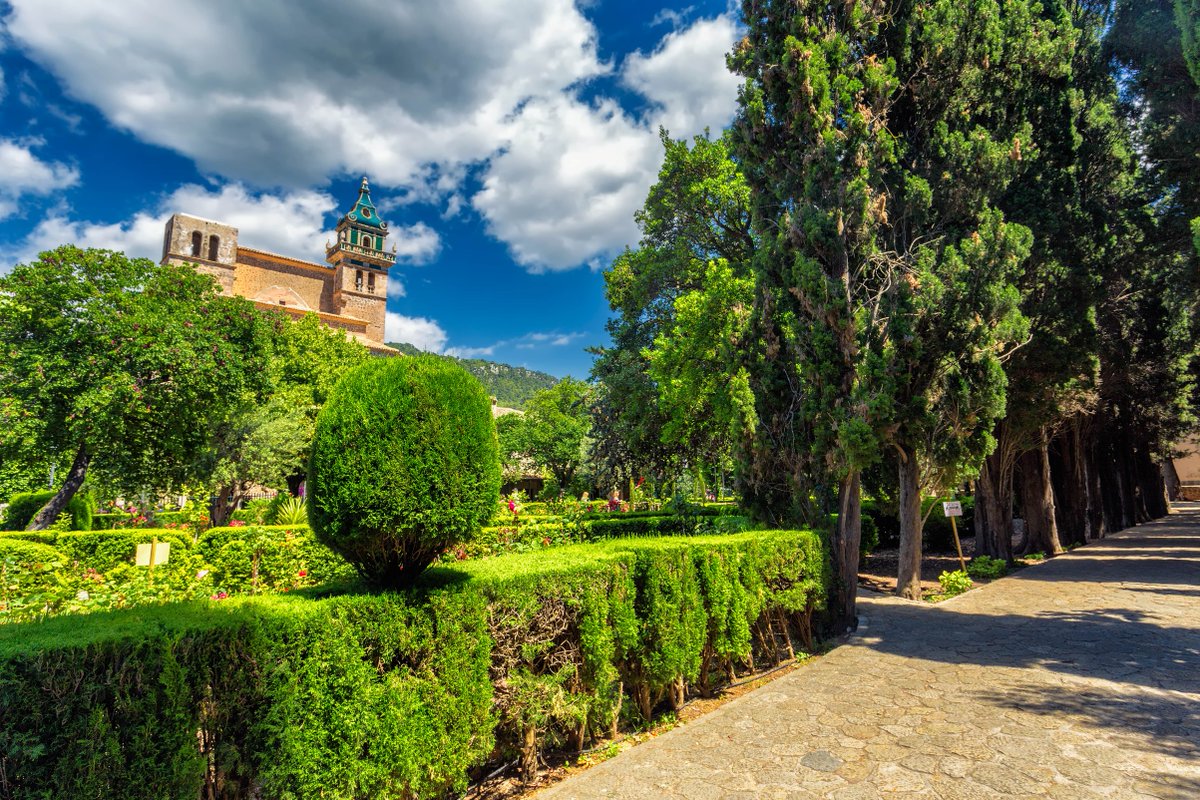 TurismeBalears's tweet image. 😍 Un paseo primaveral por los jardines de la Cartuja de Valldemossa (#Mallorca).🤗 Un lugar en el corazón de⛰ la Serra de Tramuntana que es un referente del patrimonio cultural y natural de la isla. ¿Te lo imaginas?