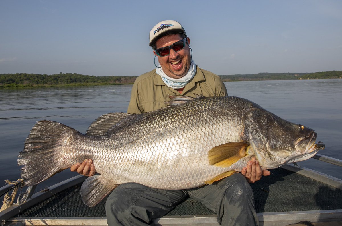 TackleGuru's tweet photo. THE MAN THATS CAUGHT EVERYTHING 😧🔥 The latest Fishing Gurus Podcast is joined by none other than angling hero Gary Newman Angling 🙌 This man has pretty much caught everything that swims, name a fish, Gary’s caught it! Tune in to episode 20 of The  Fishing Gurus Podcast now!💪 https://t.co/tQtiGZNkww