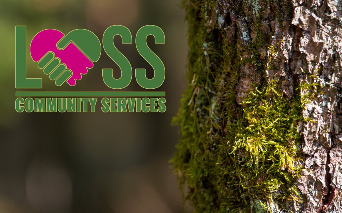 LOSS_CS_'s tweet image. Spring 2022 Newsletter - mailchi.mp/losscs.org/fal…