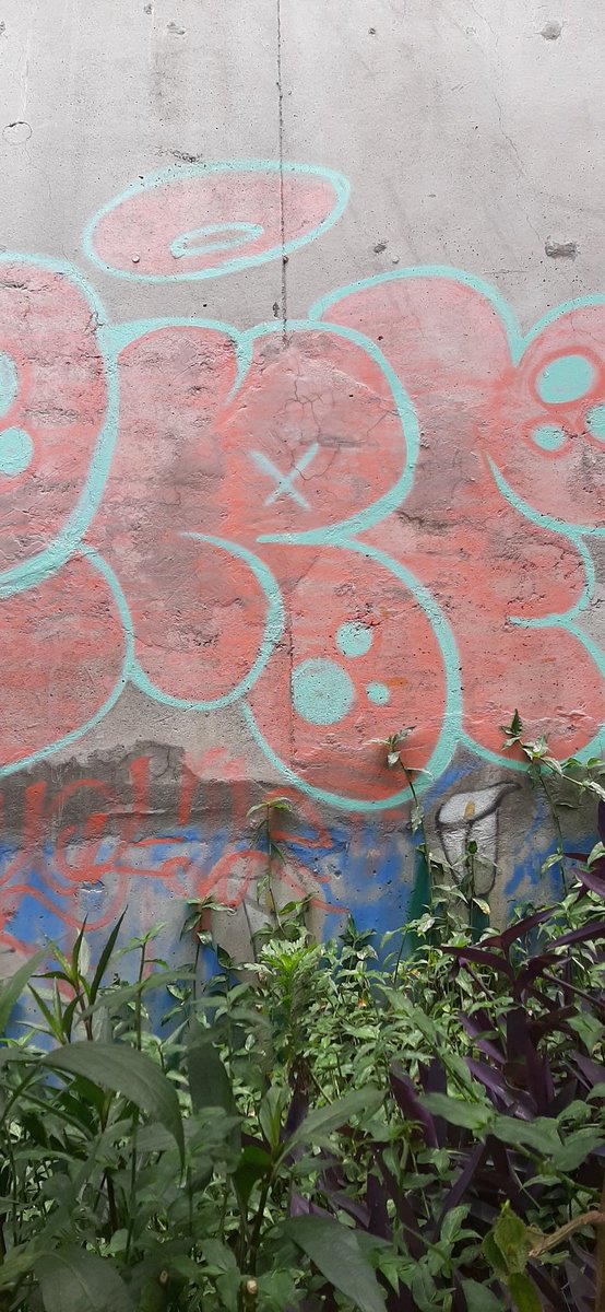 austop's tweet photo. ¿Qué pasó con el #graffititour de #Medellin? Puras casetas que tapan lo que eran los graffitis. Miles de personas que no ven nada. Mamarrachos donde hay paredes. Muy feo, ya no hay nada. #selocagaron @AlcaldiadeMed https://t.co/9QAmuapcOV