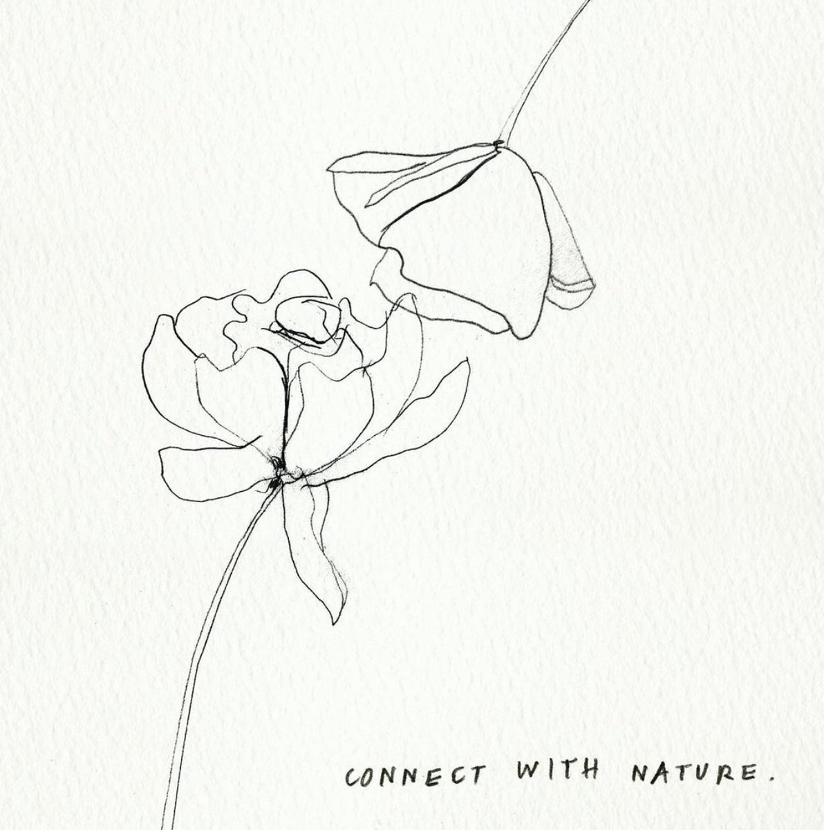 As the weather is changing and the flowers are beginning to bloom, take this time to connect with nature. Nature is all around you no matter where you are! Art by: @aolanow