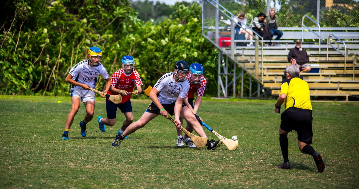 Play Hurling tweet media