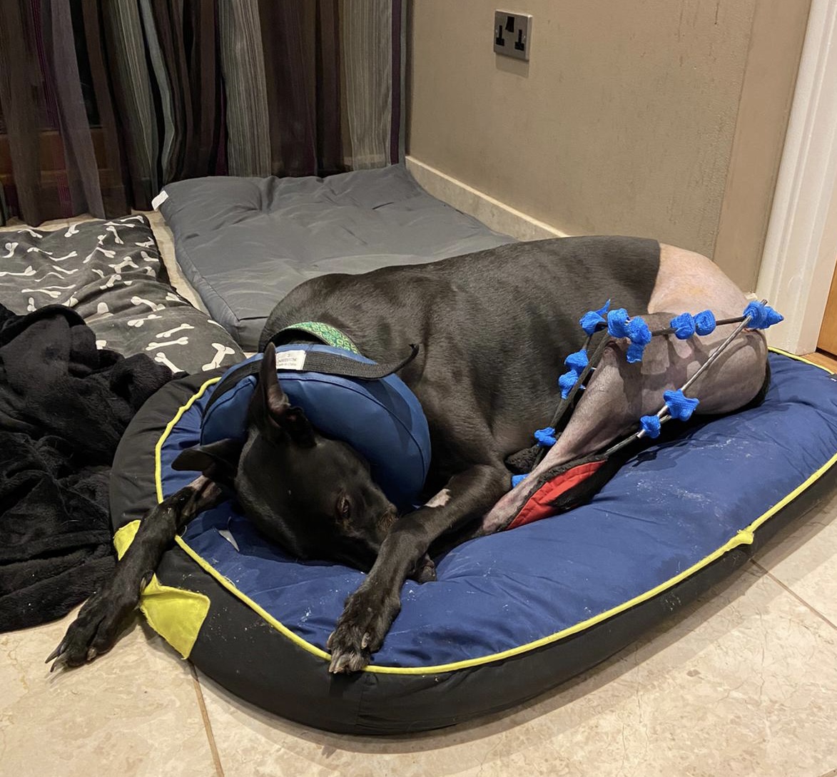 Philip Barnes tweet media