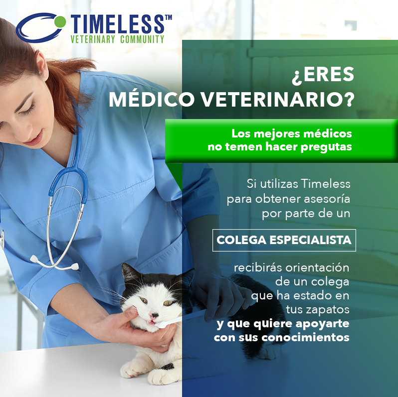 TimelessVetES's tweet photo. #MédicoVeterinario 
🔹 Con Timeless podrás solicitar apoyo de colegas especialistas en cualquier duda que tengas sobre cualquier caso clínico.
¡Regístrate en Timeless! https://t.co/JsUndpSkXU https://t.co/avnb3ocBk5
