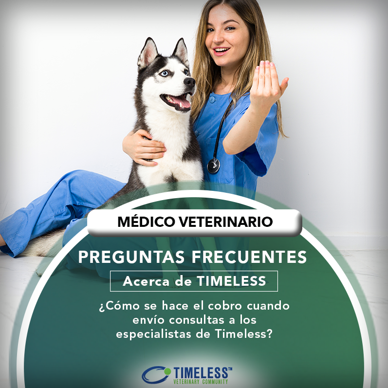 TimelessVetES's tweet photo. #MédicoVeterinario 
¿CÓMO SE HACE EL COBRO?
🔹 Cuando envías tu primer caso, se te pide ingresar tu método de pago (tarjeta de crédito). El cobro se hace hasta que recibes el reporte.
¡Regístrate en Timeless!
https://t.co/JsUndpSkXU https://t.co/H79ZsbroZ3