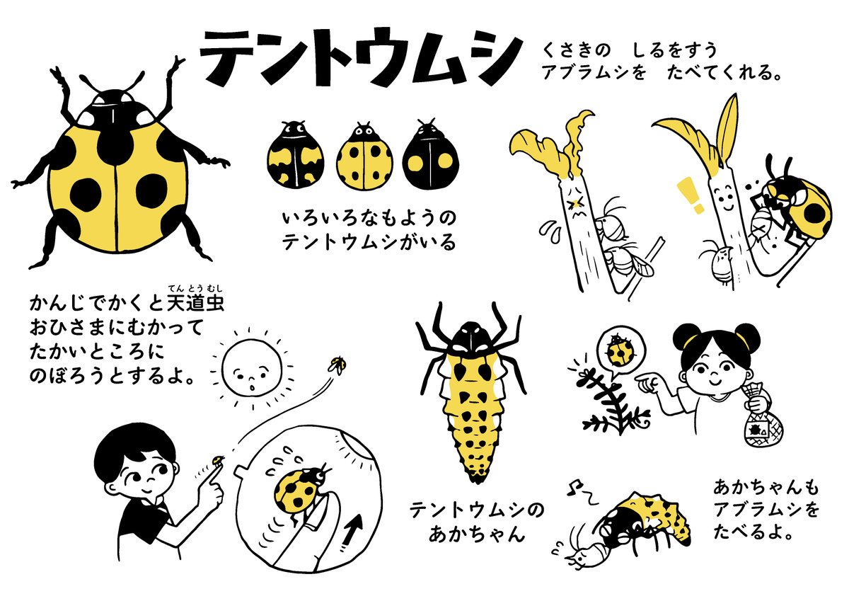 無料イラスト素材のページに、DLしてA4サイズにプリントしてお使い頂ける生き物トピックを3点追加しました🐞🦋🌻
https://t.co/PKeoQNT70W 