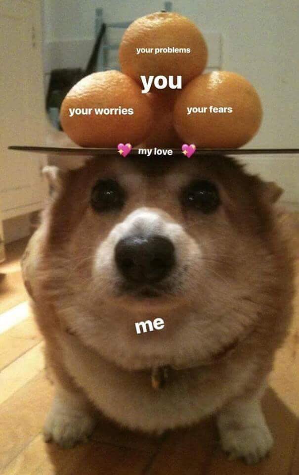 DDany_Sol's tweet photo. @susych17 aquí ando uwu https://t.co/fwIt0q9Xv7