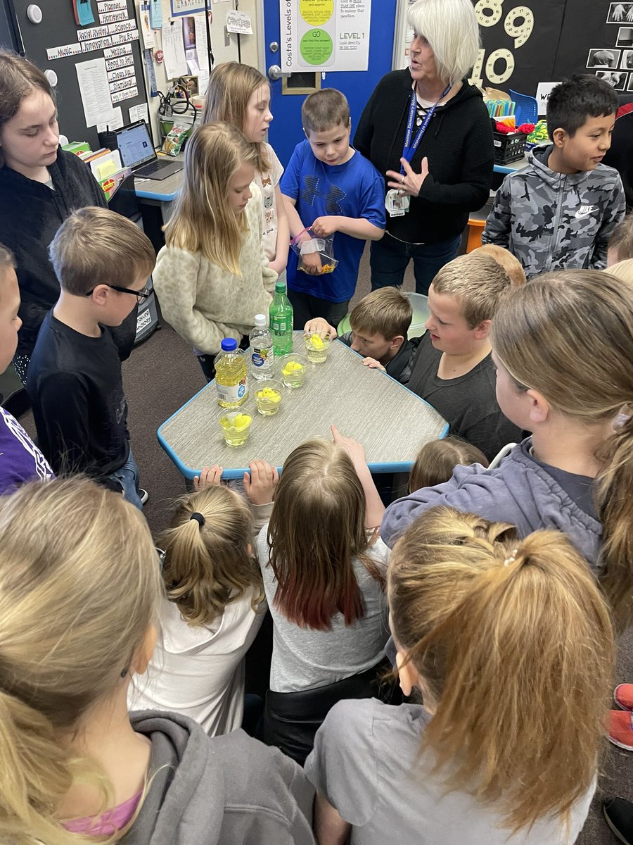Today we predicted and observed what different liquids would do to PEEPS before we created a device to keep one from getting soaking wet in water! #theMESway #4thgrade #iCreate #thinklikeaninventor