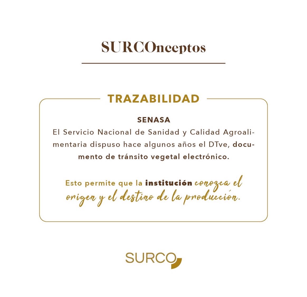 ArSurco's tweet photo. En esta fecha y siempre ¡que la compra sea segura!! conoce de dónde vienen las verduras y todos los alimentos. ¿No te intriga saber dónde y cómo se produce? #surco te recomienda 👇 🔍 #seguridadalimentaria #trazabilidad #campo #verduras https://t.co/no5sRI4tR0