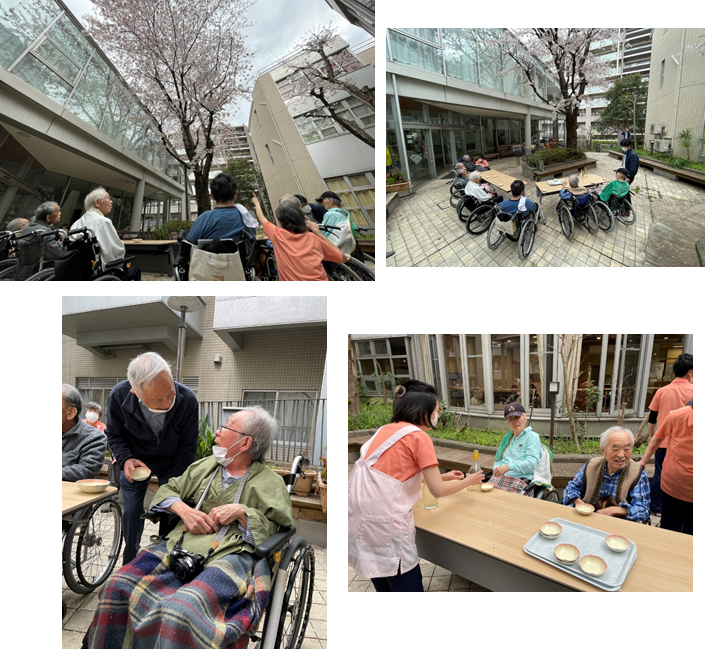 芦花ホーム の中庭には大きな桜の木があります 満開の桜のもとで ちょっぴりお酒を嗜みながら 桜を見る会 を行いました 心地よい新緑の香りと穏やかな日差しが感じられると ご利用者の皆さまからは優しい笑顔が溢れていました 今年も皆さまと一緒にお花見ができ