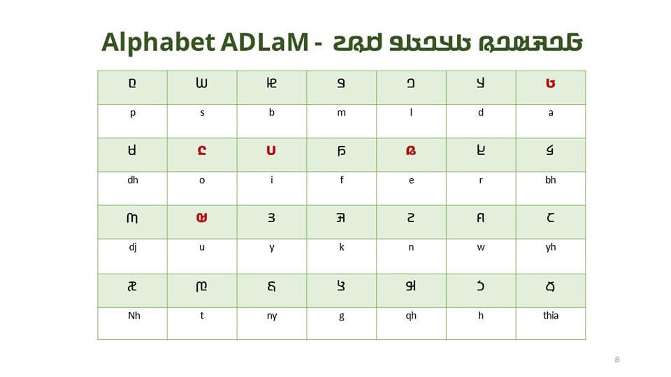 𞤕𞤫𞤪𞤲𞤮 𞤋𞤧𞤥𞤢𞥄𞤴𞤭𞥅𞤤𞤢 𞤔𞤀𞤂𞥆𞤌 🐄🇬🇳 tweet media