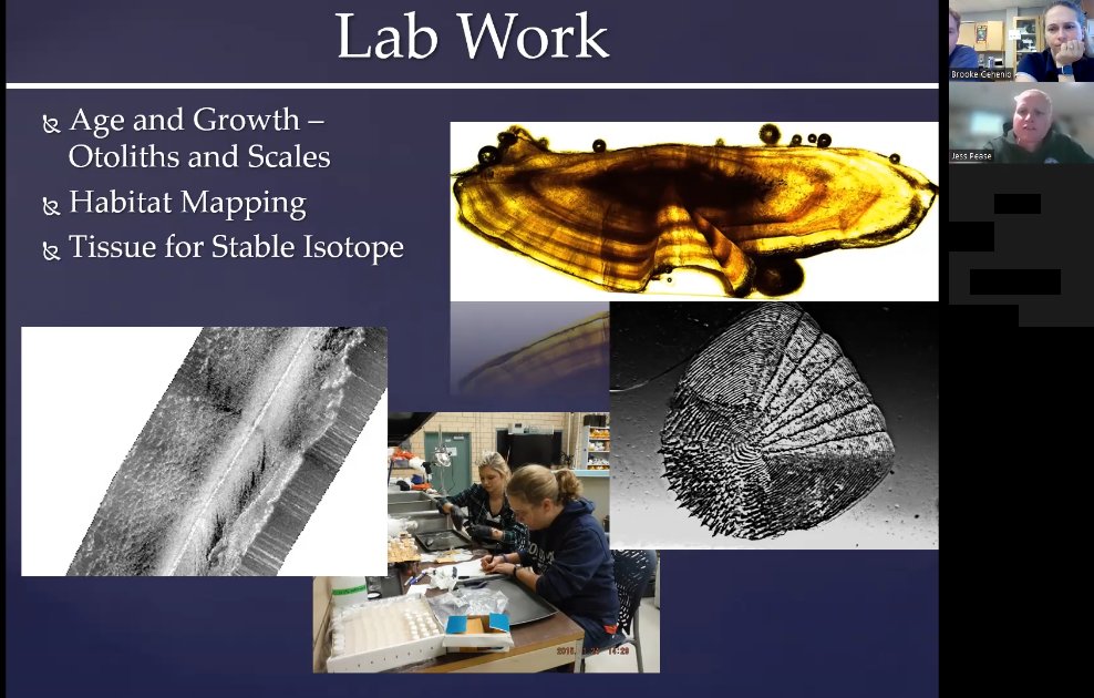 Mrs. Smith tweet media