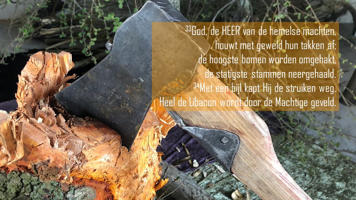 Mirjam Muis tweet media