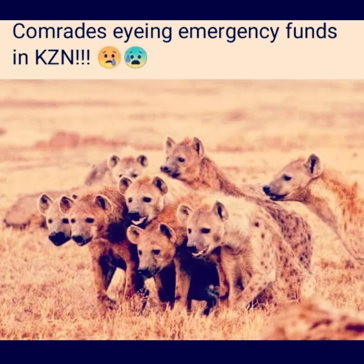 #PrayforKZN