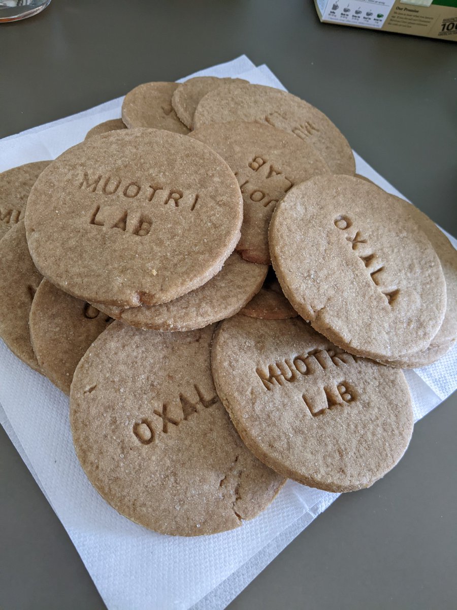 gabygoldbergsci's tweet photo. Got some specially-made cookies for our #MuotriLab tea time today! #oxala https://t.co/6Gmo4Ha4Td
