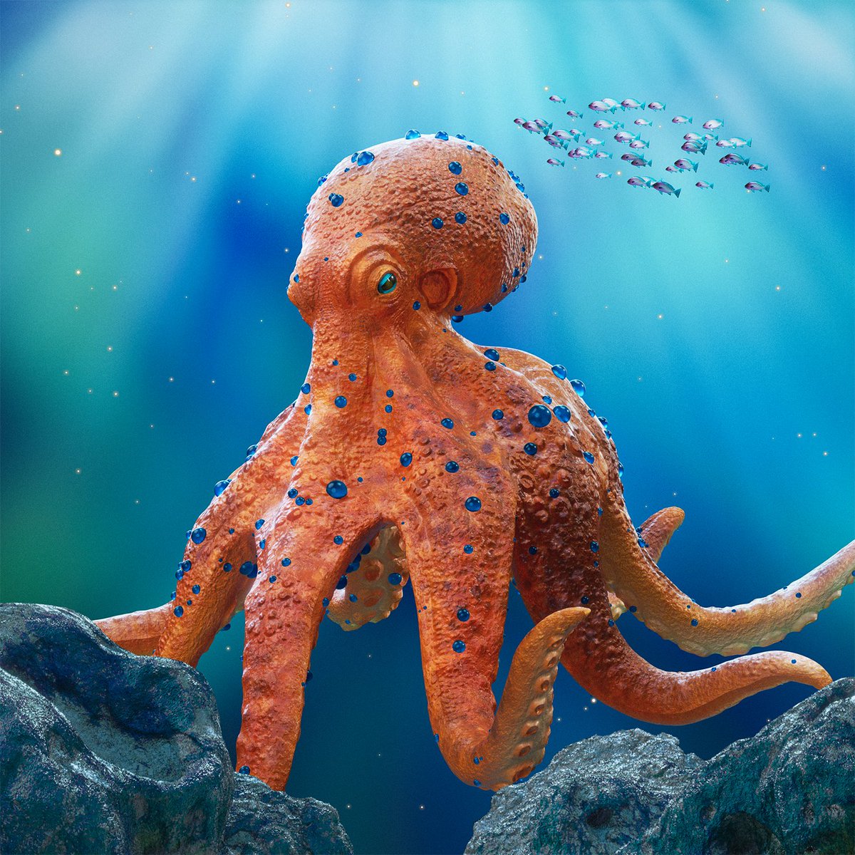 Octopus #1097 was just bought 🙌 Congrats to the new owner!

For JUST 0.09 SOL ($9.06) 💰

The Sea Floor is Rising!
solscan.io/token/43e8s9hZ…