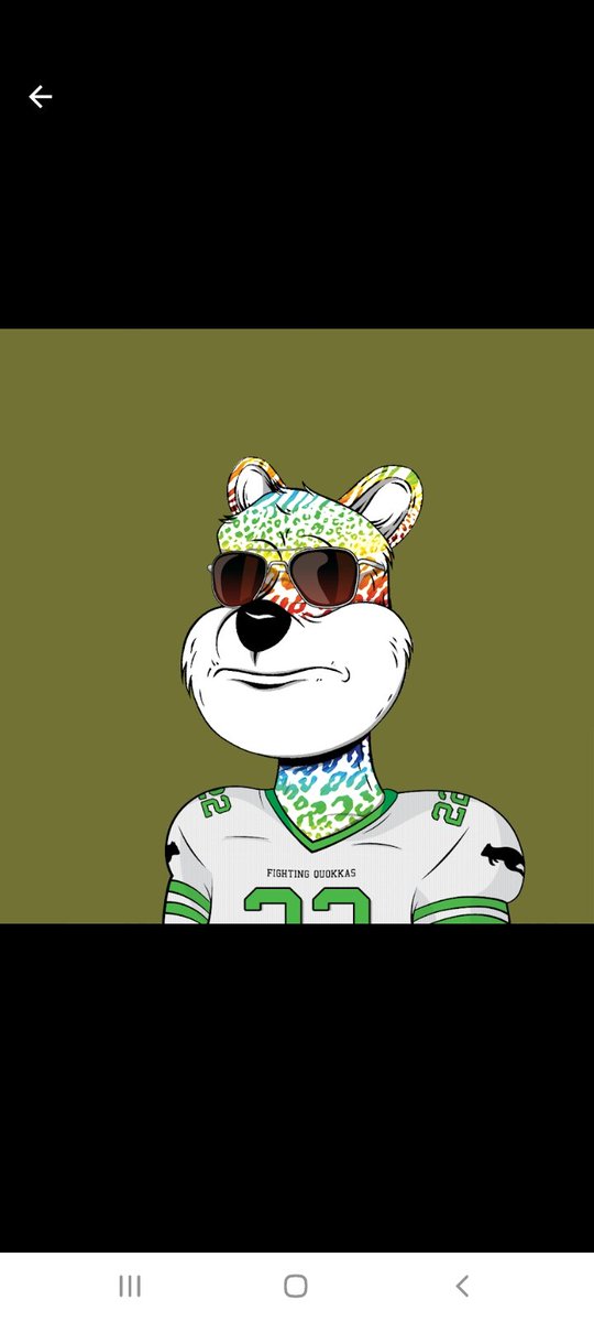 MrRizzoQuokka 🚀🌑 tweet media