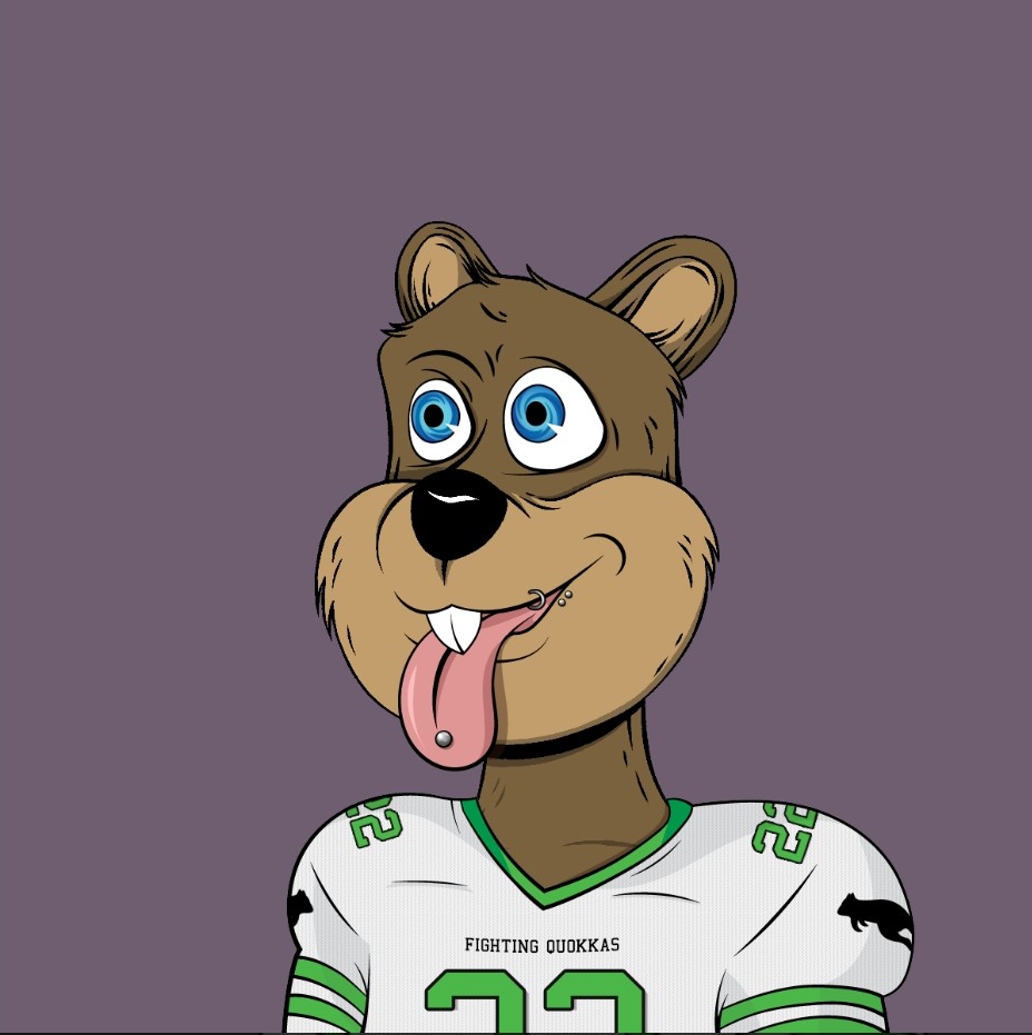 MrRizzoQuokka 🚀🌑 tweet media