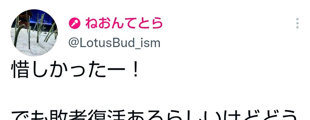 ねおんてとら なんで名前ピンクになってんの Twitterさんまた仕様変更 T Co Spycu4onja Twitter